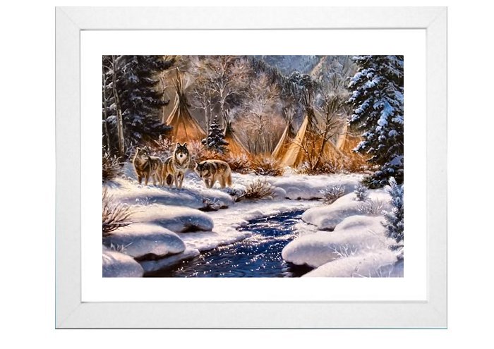 North American IndianFramed Print